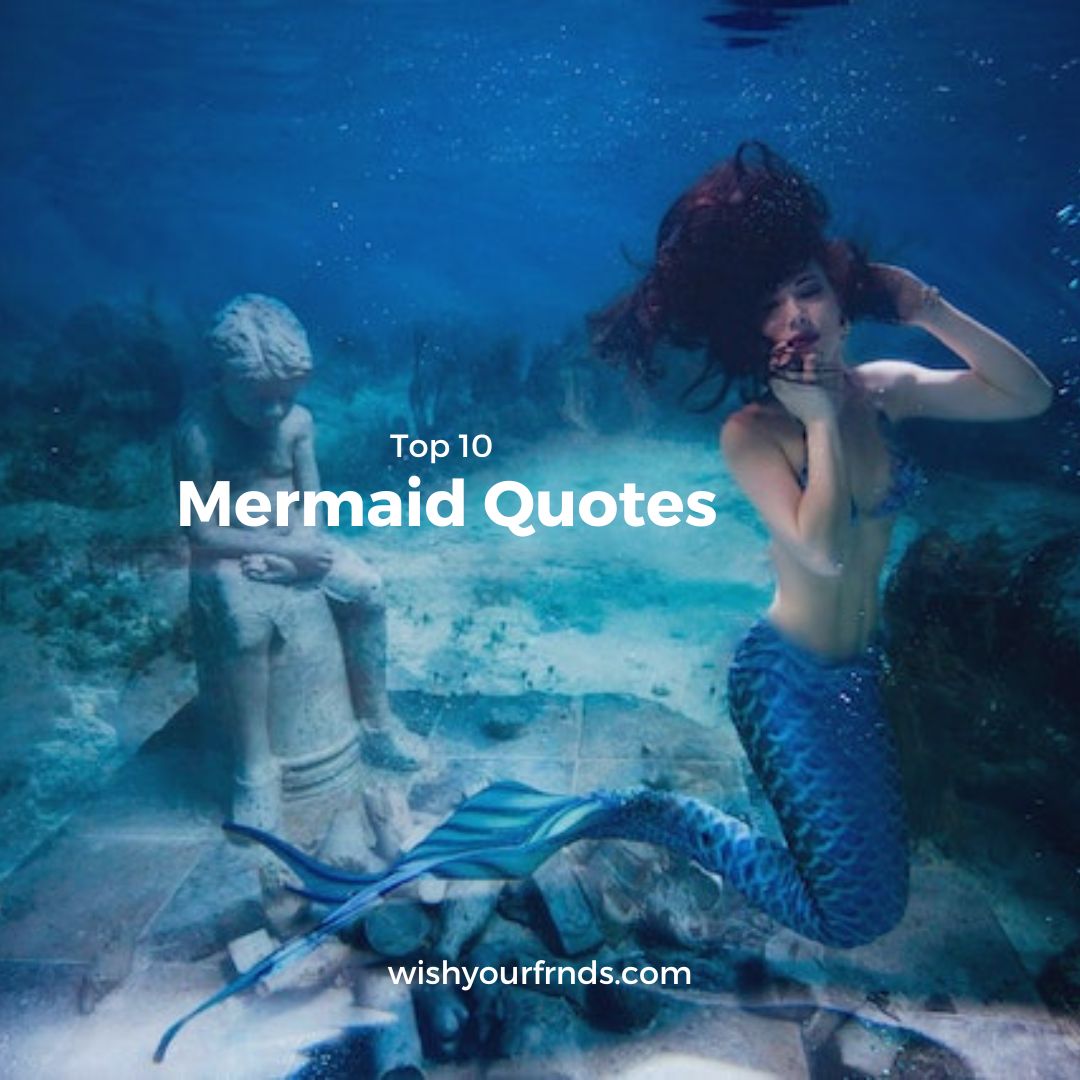 Top 10 Mermaid Quotes Wish Your Friends