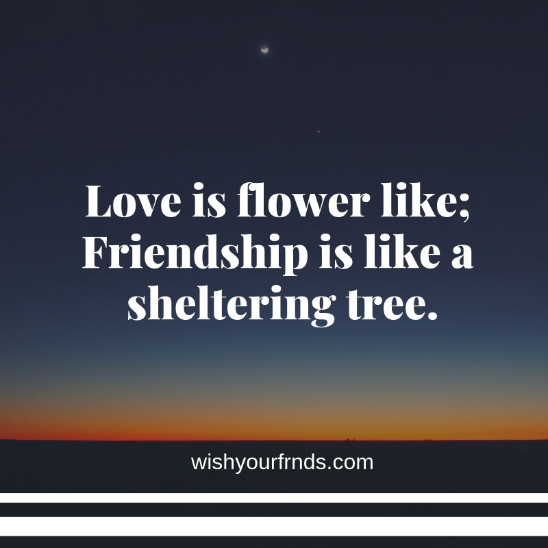 true friendship quotes