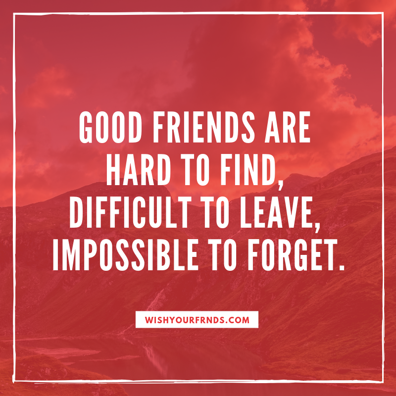 Top 10 Cute friendship status and top friendship quotes in 2023