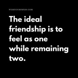 Top 10 Short friendship quotes in 2023 - Wish Your Friends
