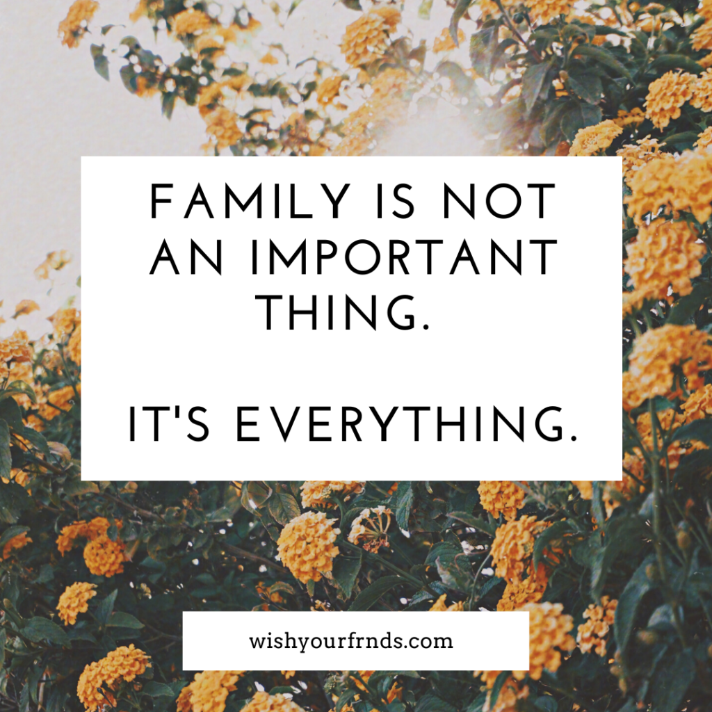 Family Quotes Funny