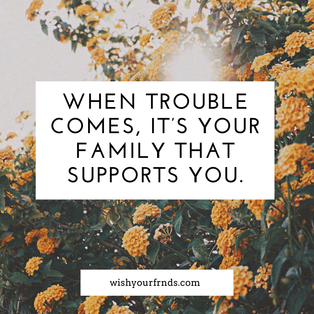 Best Family Quotes About Love and Why Family Is Important Quotes!