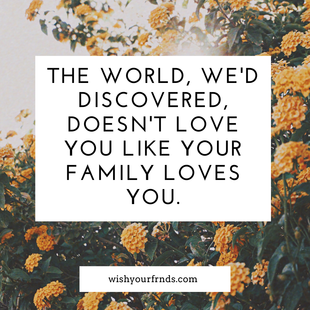 Best Family Quotes About Love and Why Family Is Important Quotes!