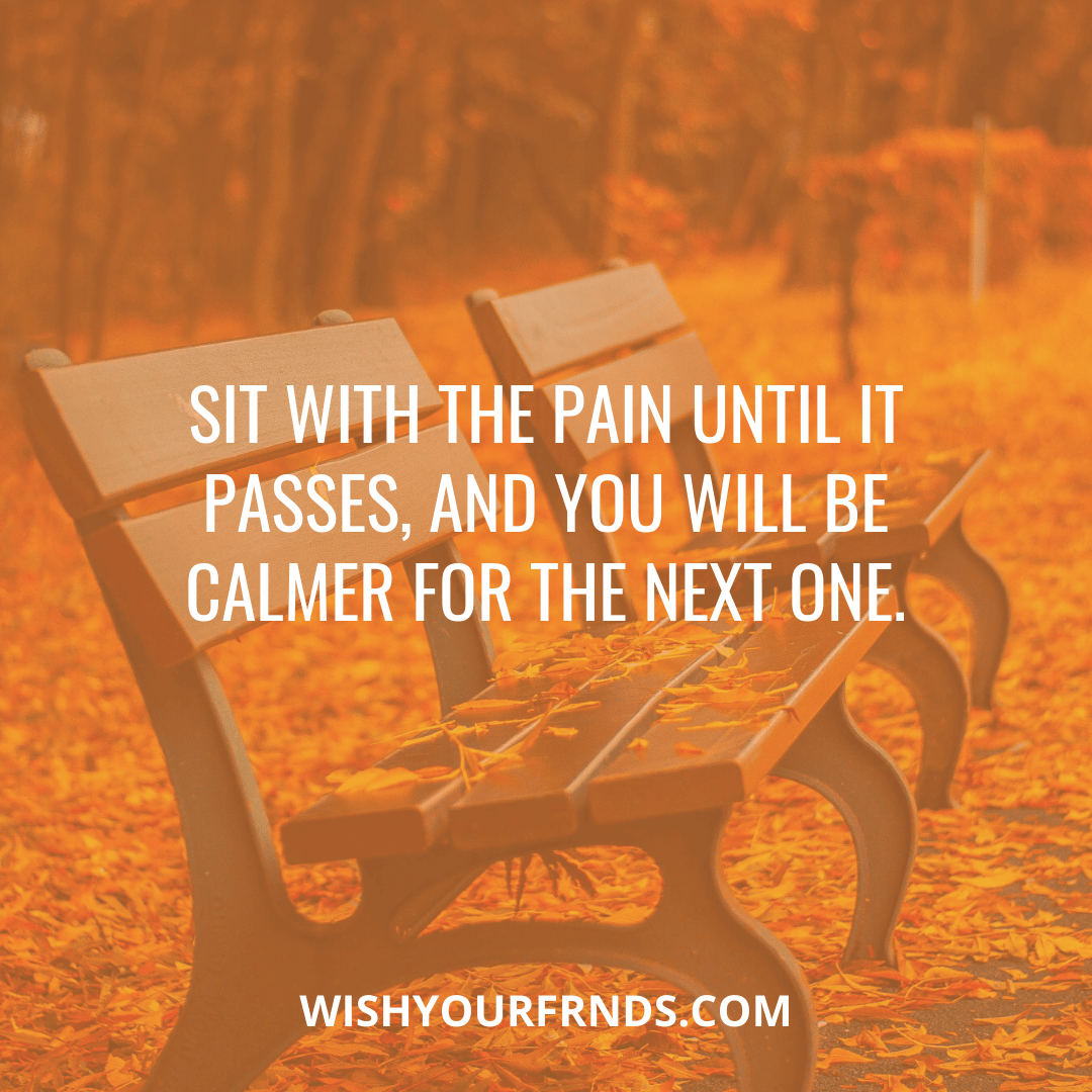 in pain quotes