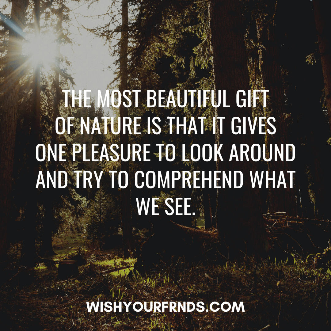 Quotes On Nature Beauty with Images Wish Your Friends