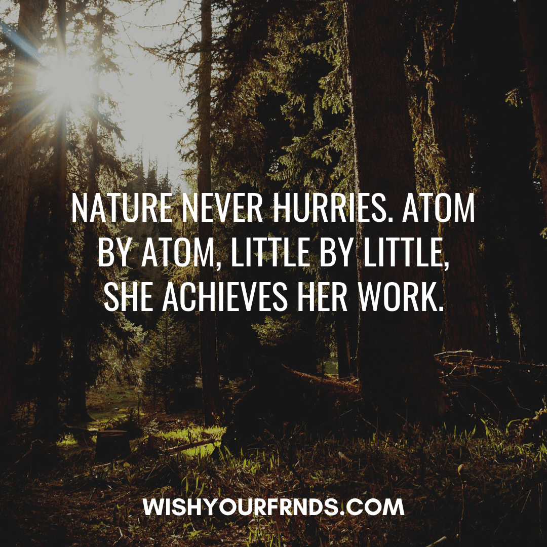 Quotes on Nature