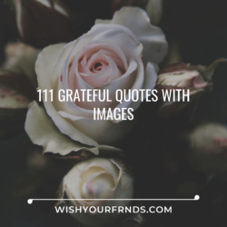 grateful quotes