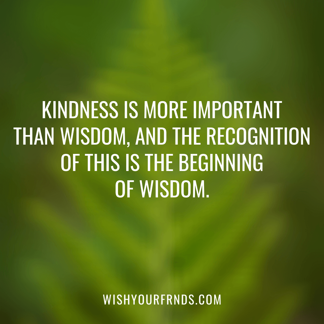 About Kindness Quotes