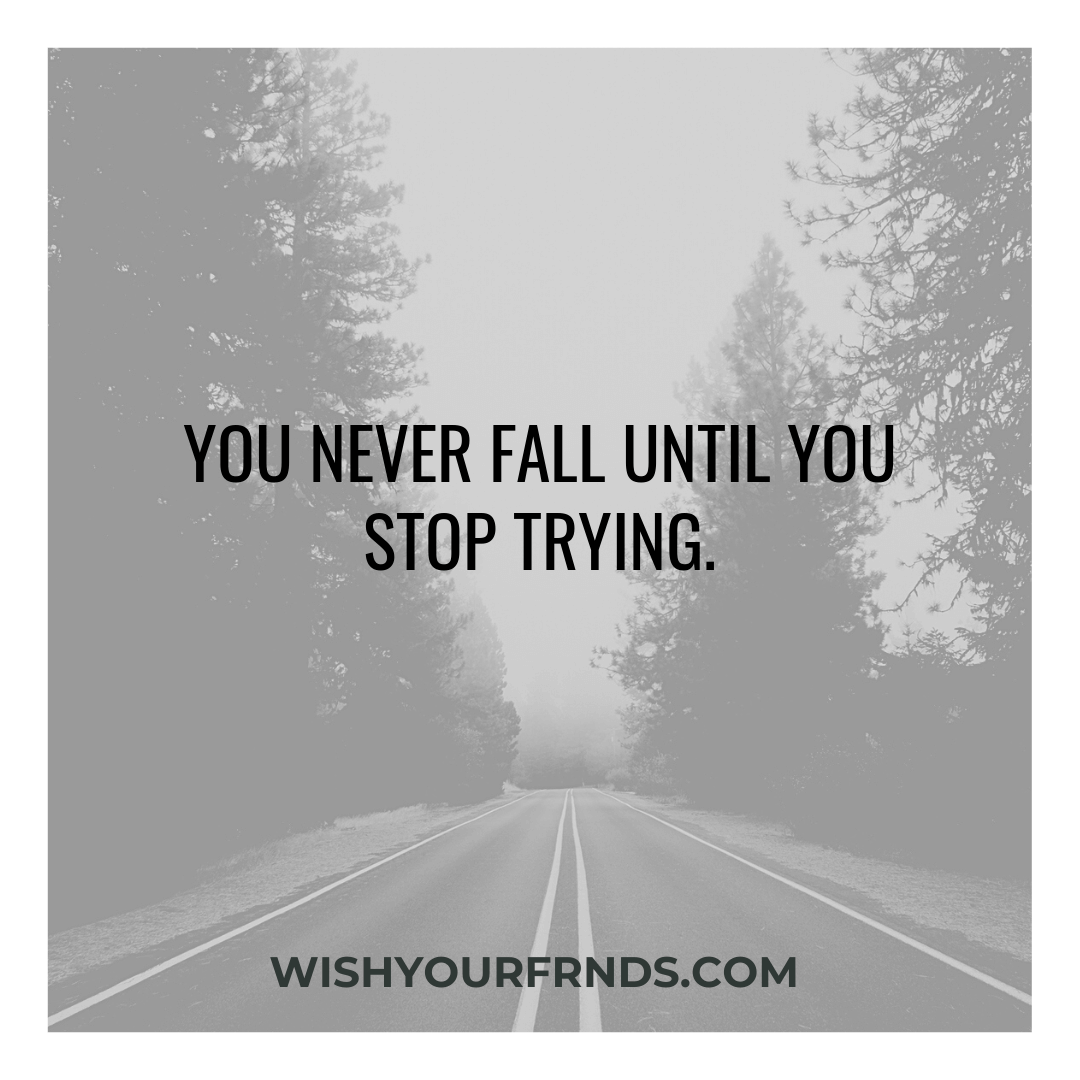 Never Give Up Quotes with Images - Wish Your Friends