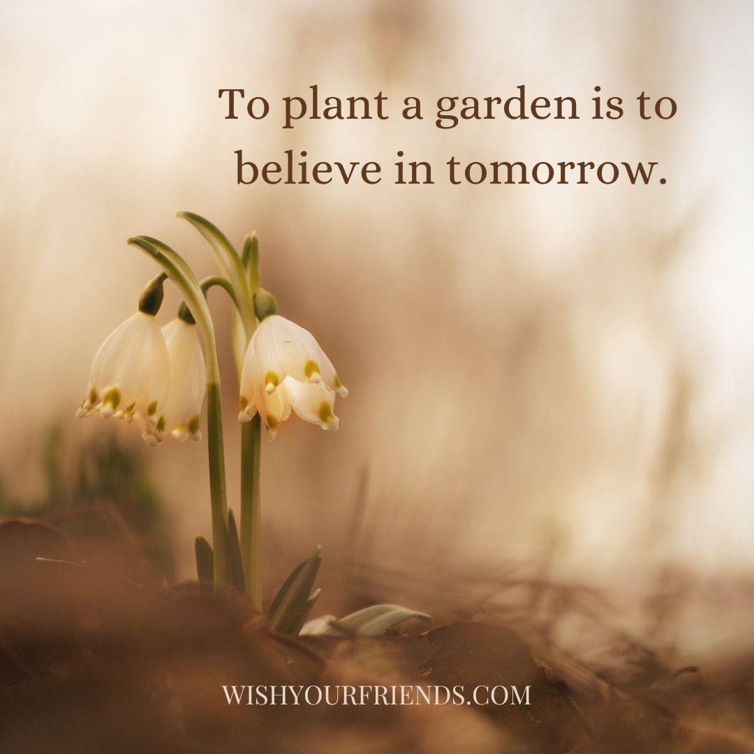 60 Top Wildflower Quotes Wish Your Friends