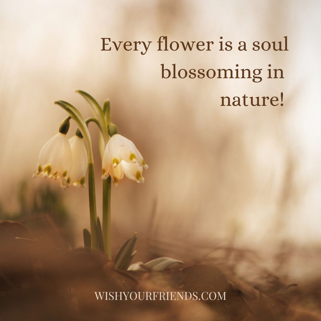 60 Top Wildflower Quotes Wish Your Friends