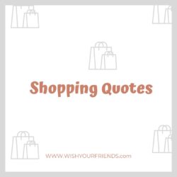 Shopping Quotes