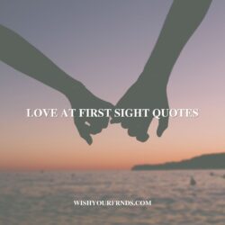 Love at First Sight Quotes