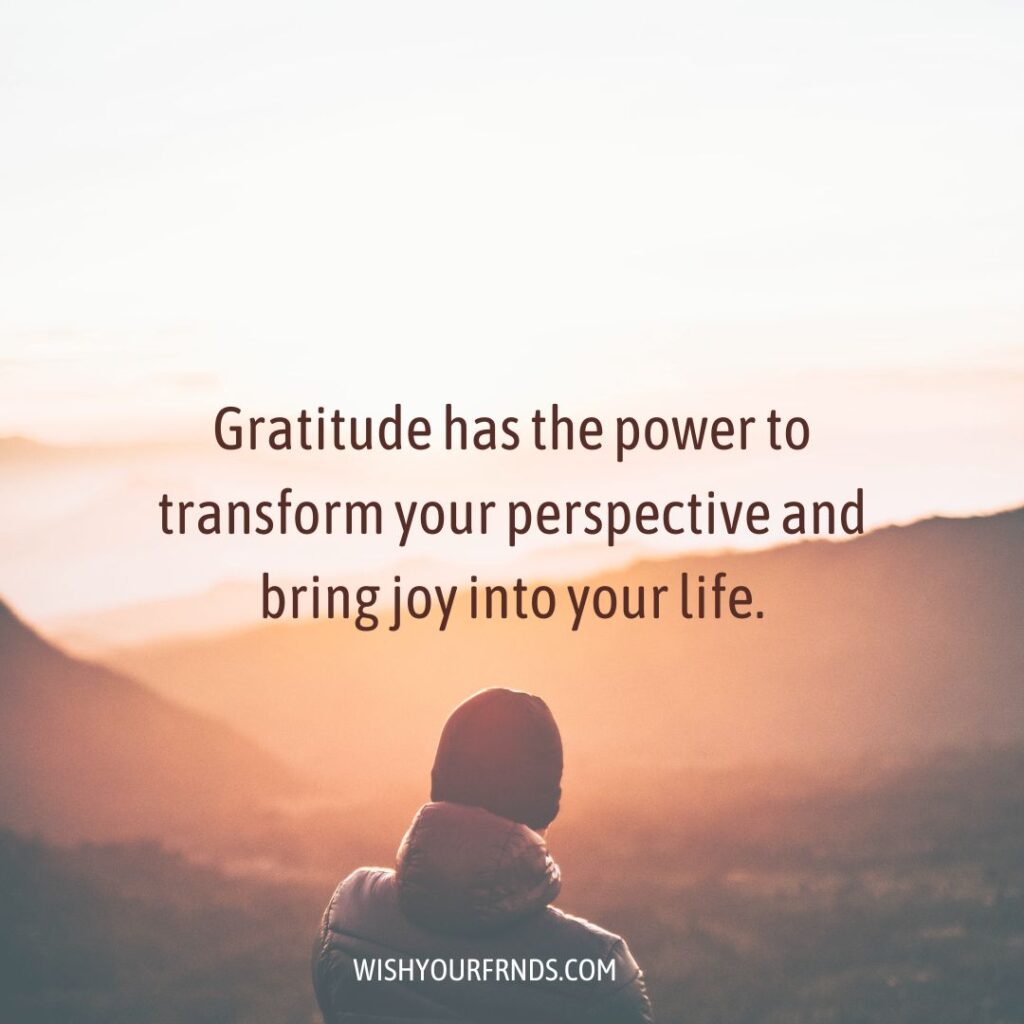 Embrace Gratitude Quotes