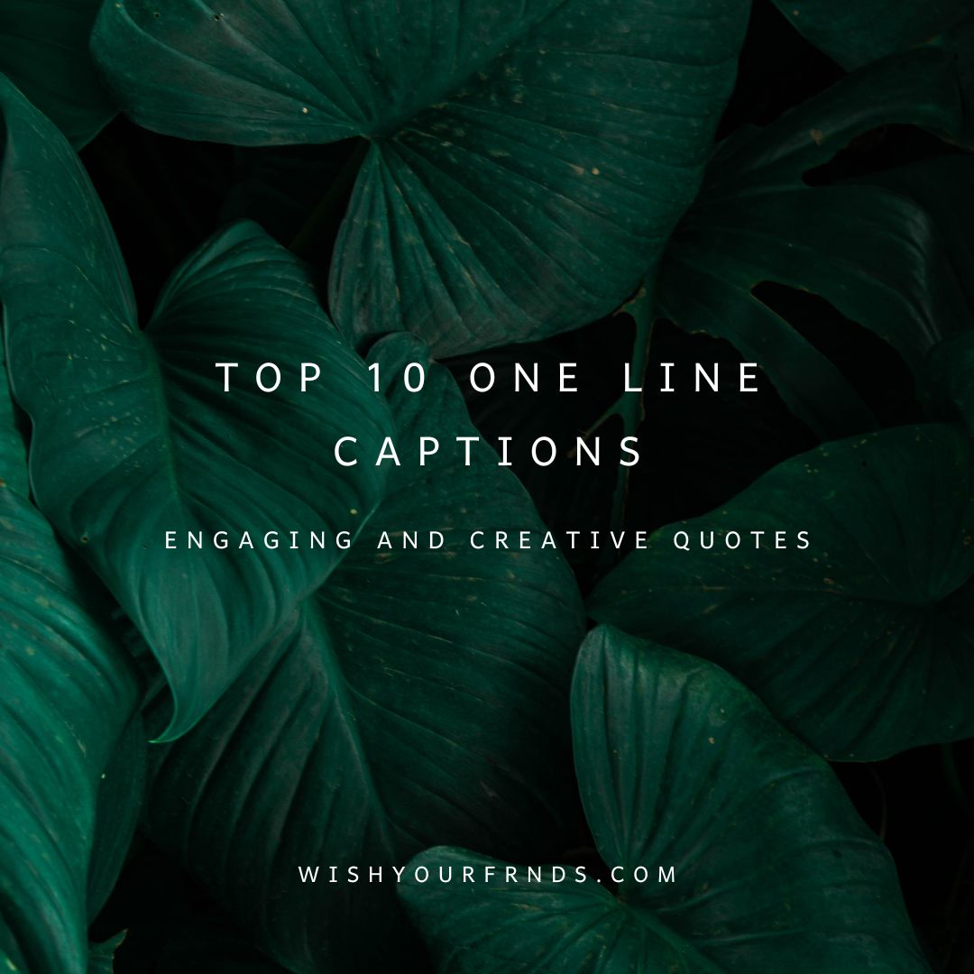 top-10-one-line-caption-engaging-and-creative-quotes-wish-your-friends