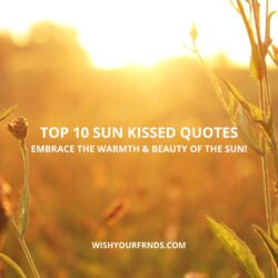 Sun Kissed Quotes