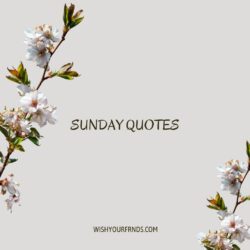 Sunday Quotes