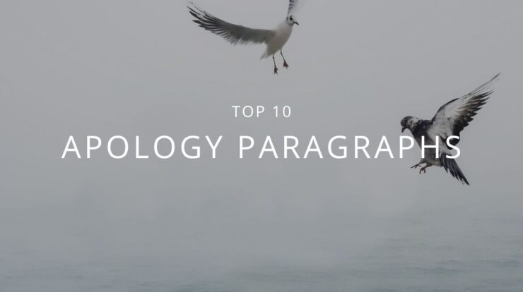 Apology Paragraphs