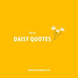 Daisy Quotes
