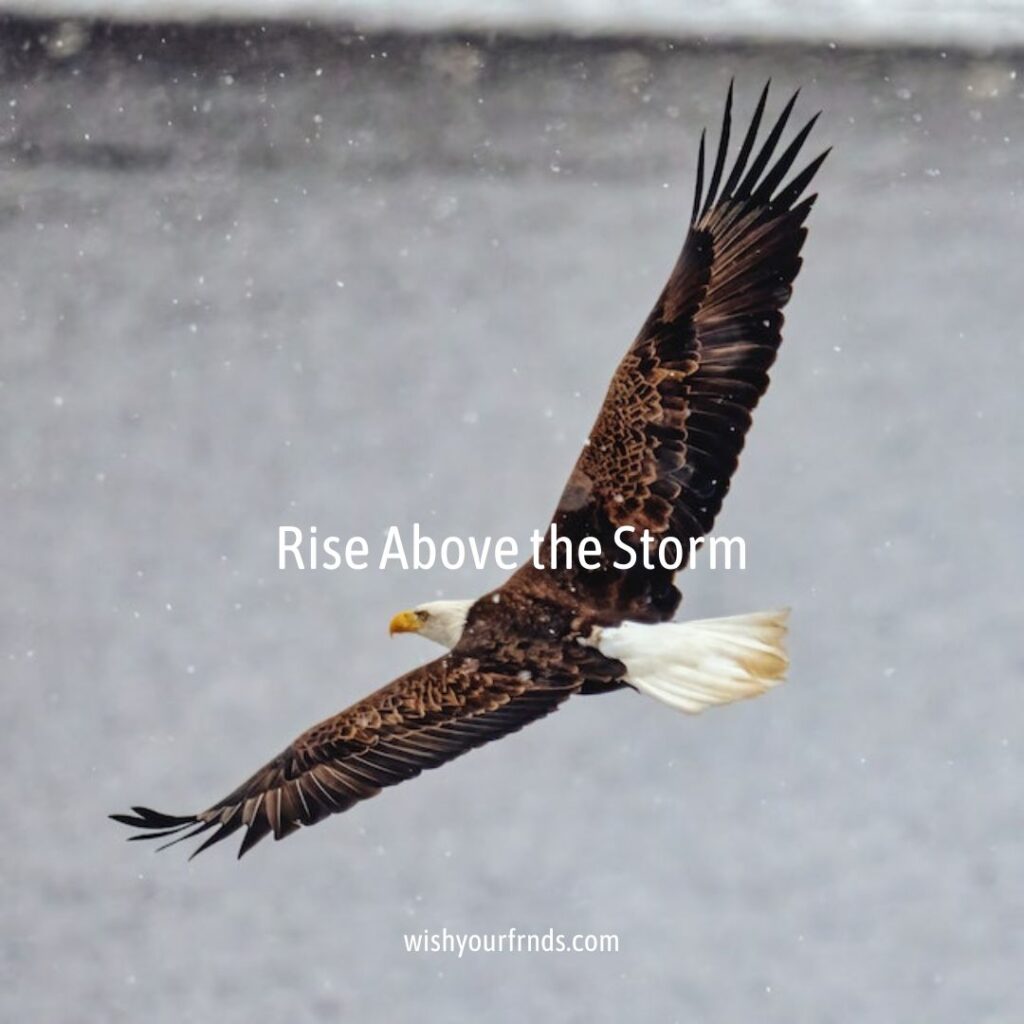 Rise Above the Storm