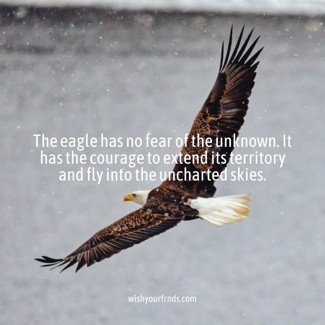 Top #10 Eagle Quotes - Wish Your Friends