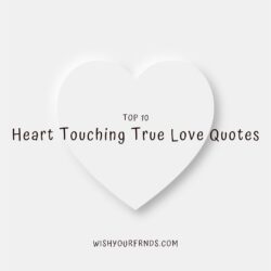 Heart Touching True Love Quotes