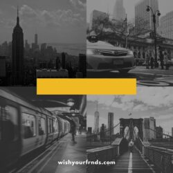 New York Captions