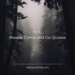 People Come and Go Quotes