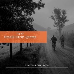 Small Circle Quotes