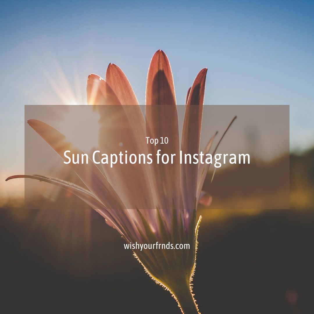 10-sun-captions-for-instagram-wish-your-friends