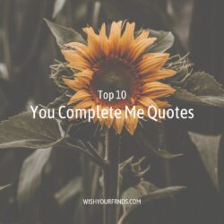 You Complete Me Quotes