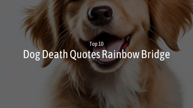 Dog Death Quotes Rainbow Bridge - Wish Your Friends