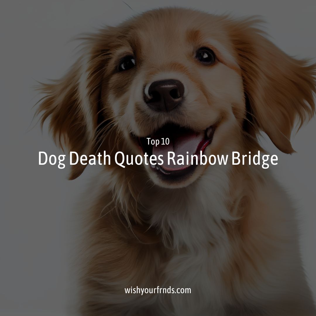 Dog Death Quotes Rainbow Bridge Wish Your Friends