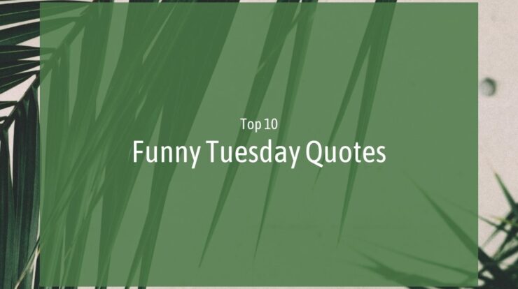 Top #10 Funny Tuesday Quotes - Wish Your Friends