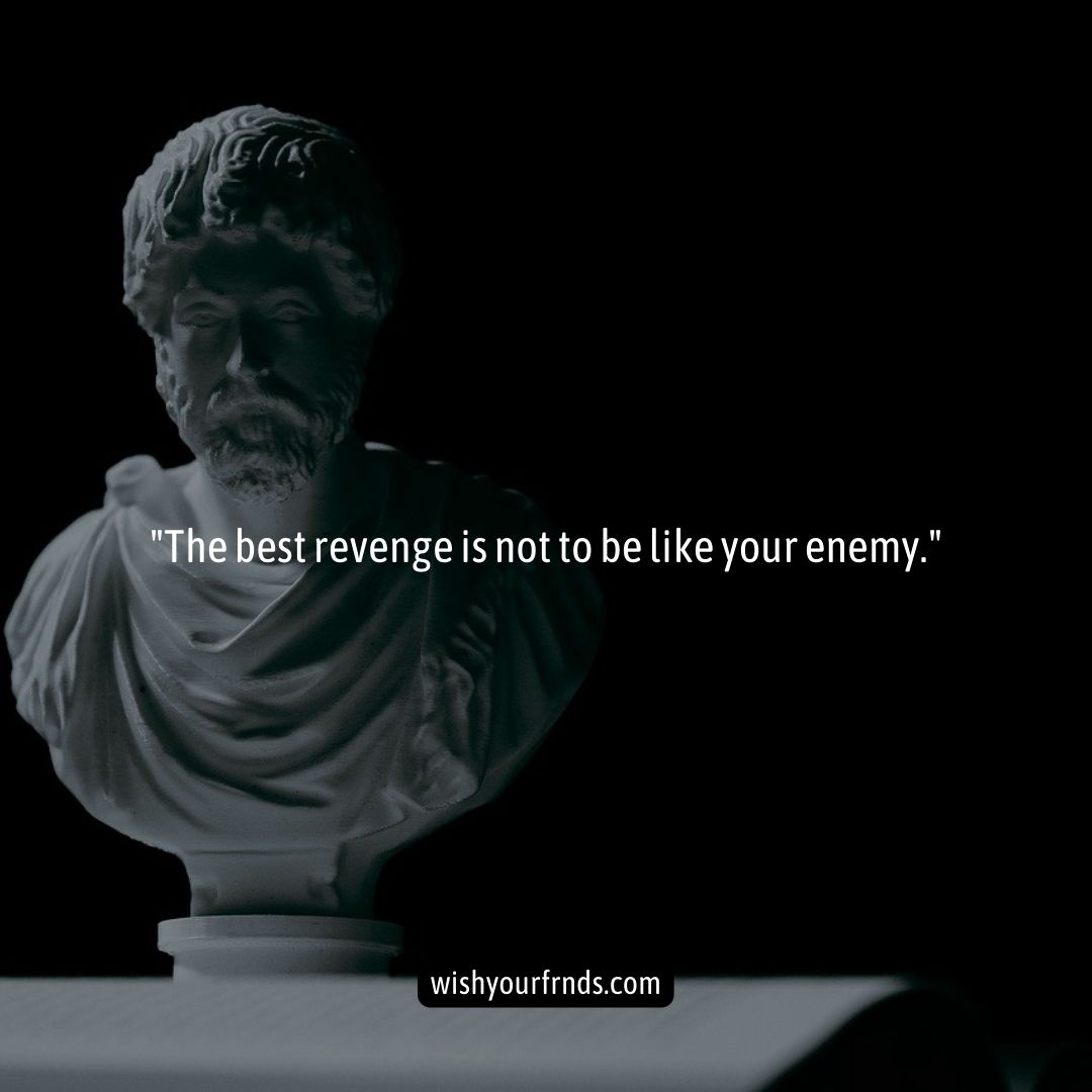 Top #10 Stoicism Quotes - Wish Your Friends